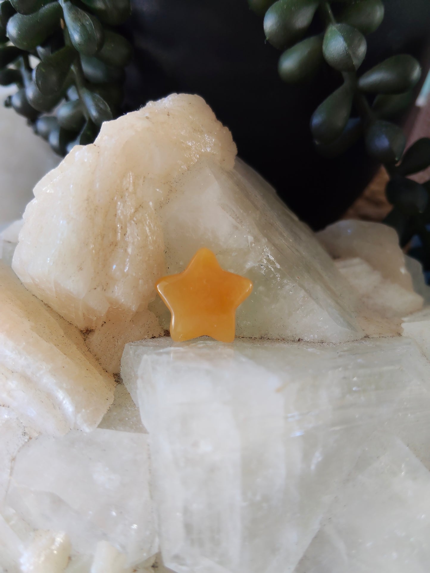 Mini Stars