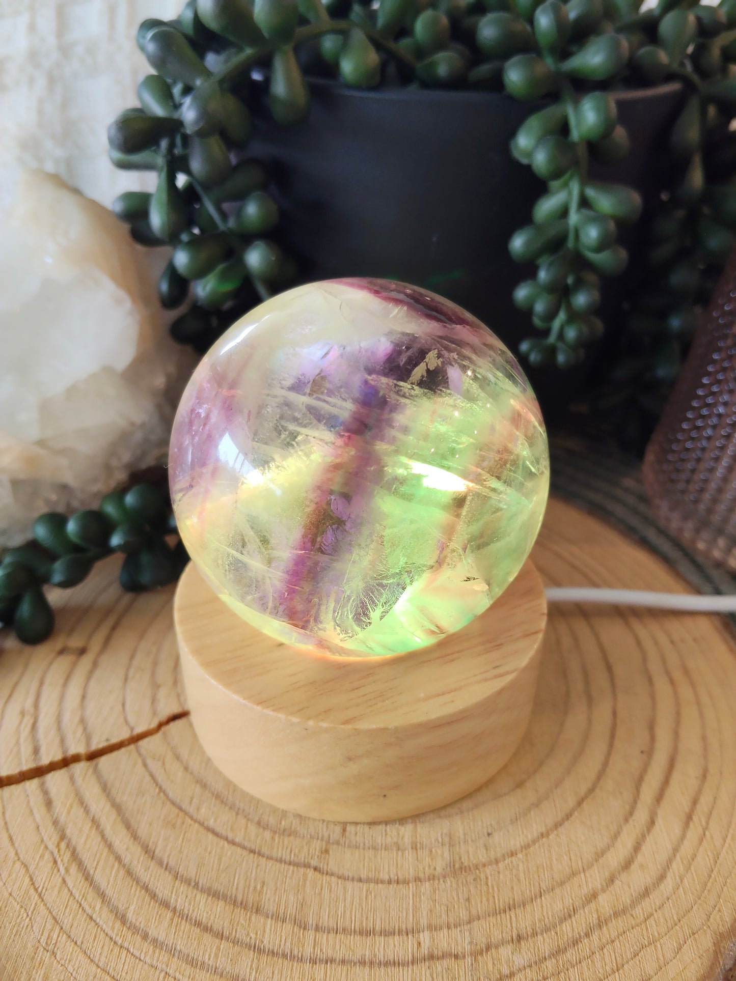 Colour Changing Light Bases