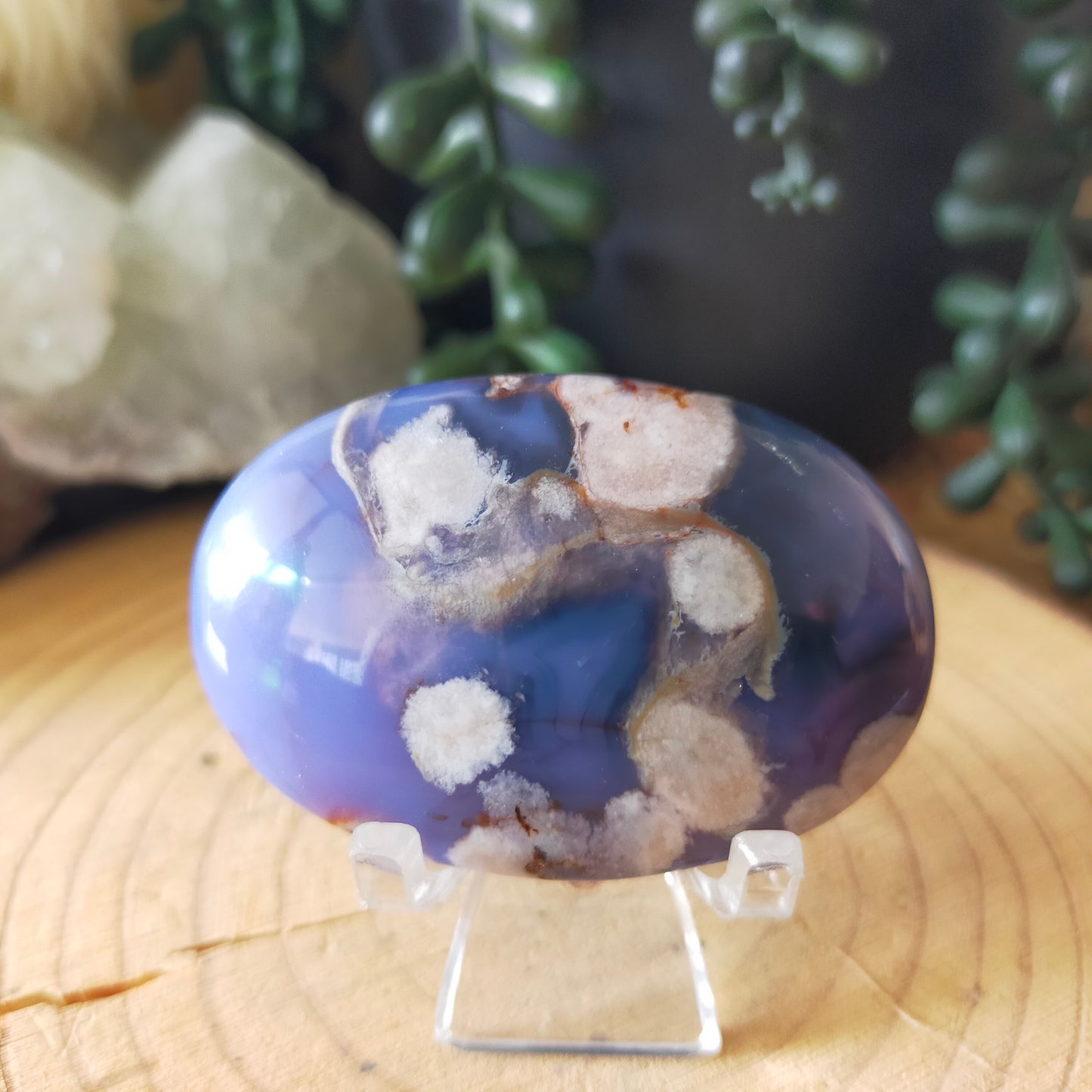 Blue Flower Agate Palmstones