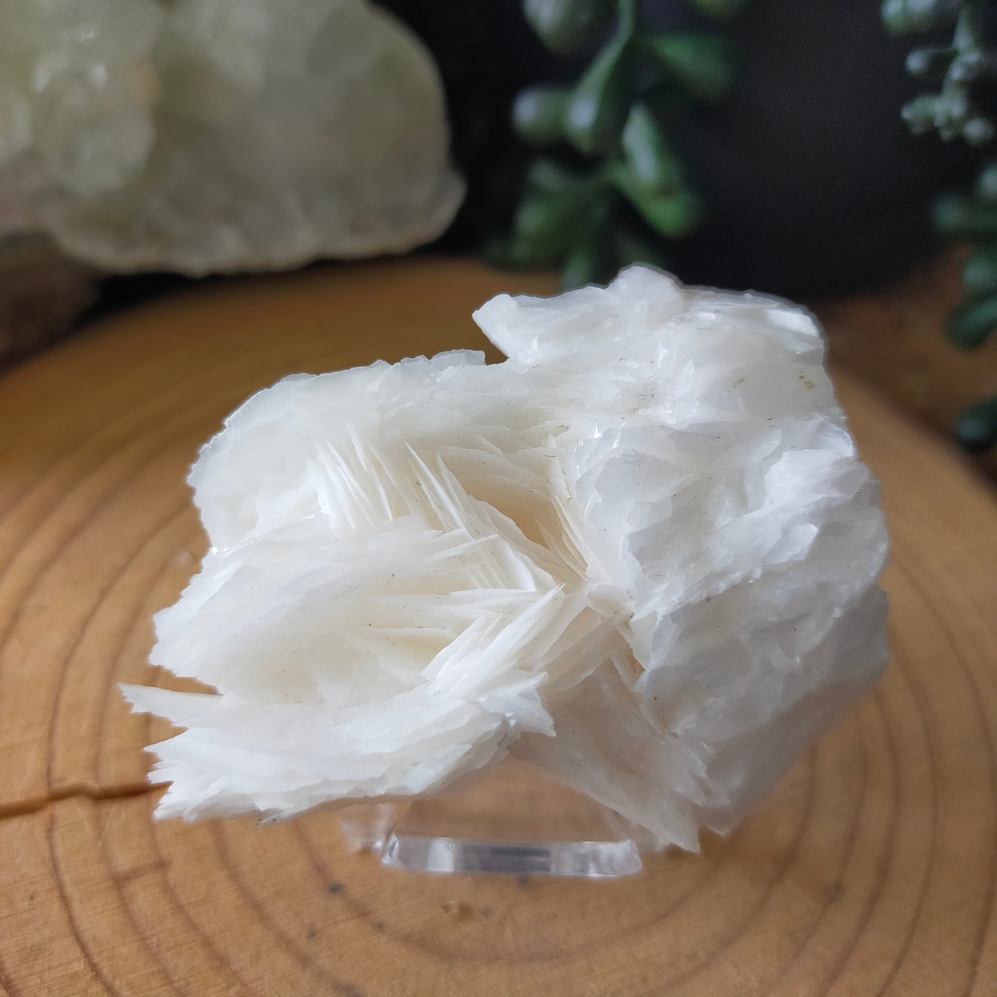 Angel Wing Calcite Specimen