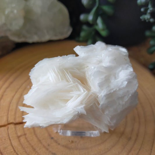 Angel Wing Calcite Specimen