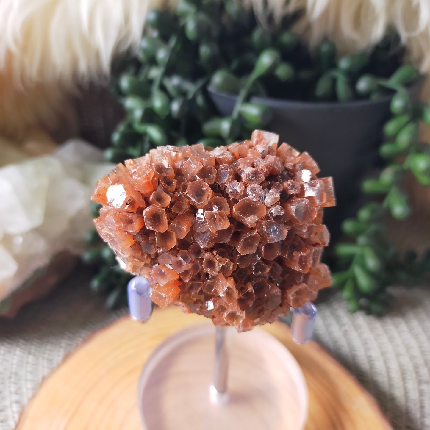 Sputnik Aragonite