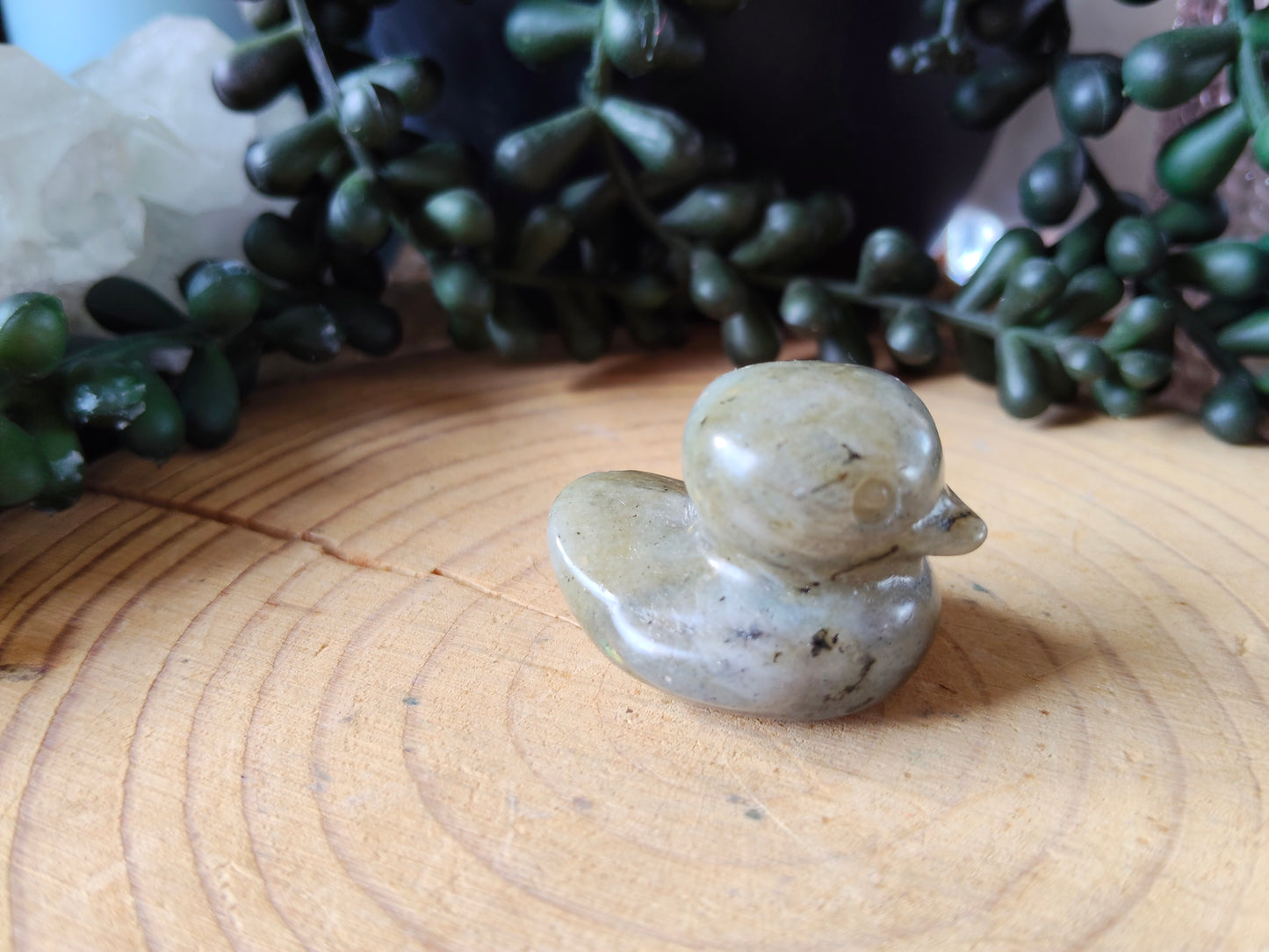 Crystal Ducks