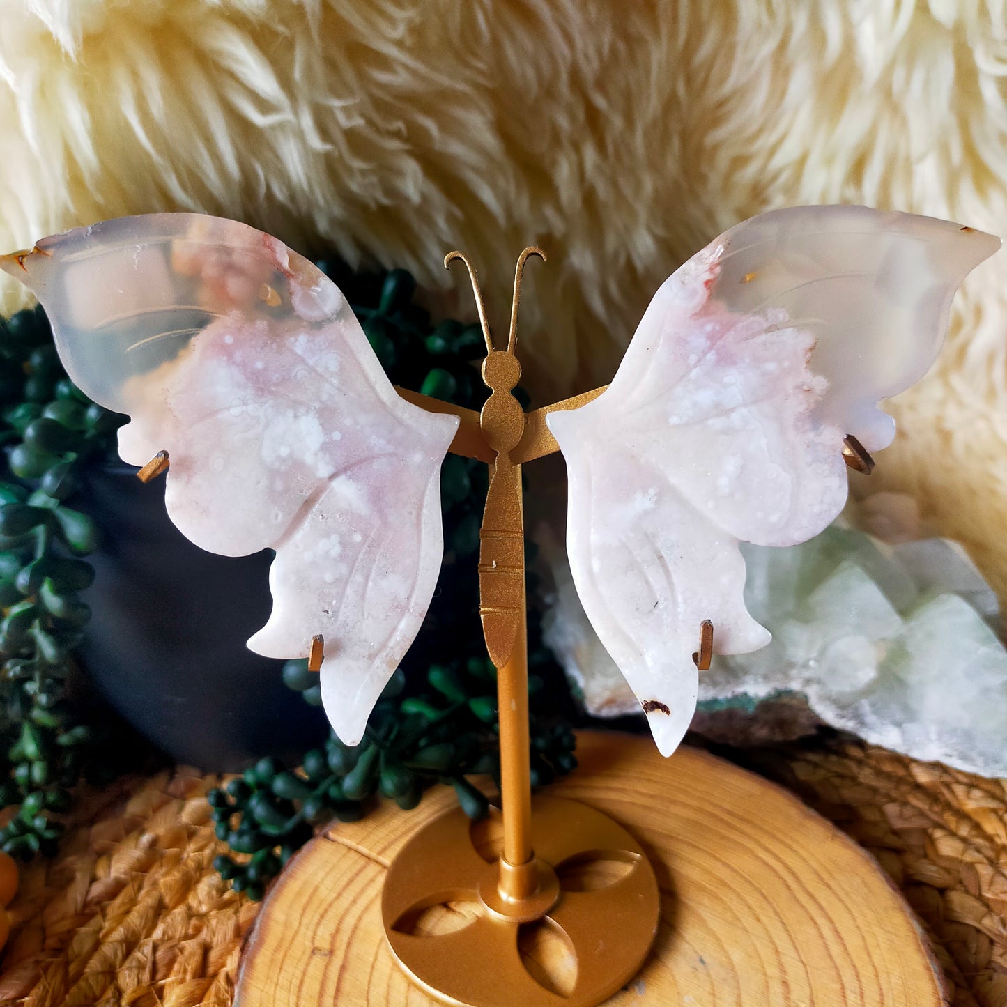 Flower Agate Butterfly Wings