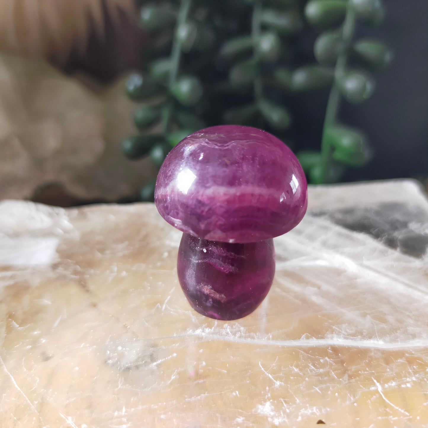 Fluorite Mushrooms