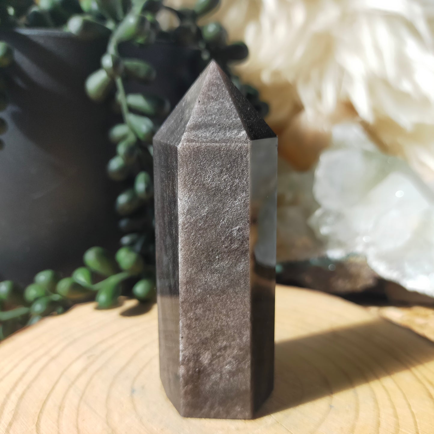 Silver Sheen Obsidian Points