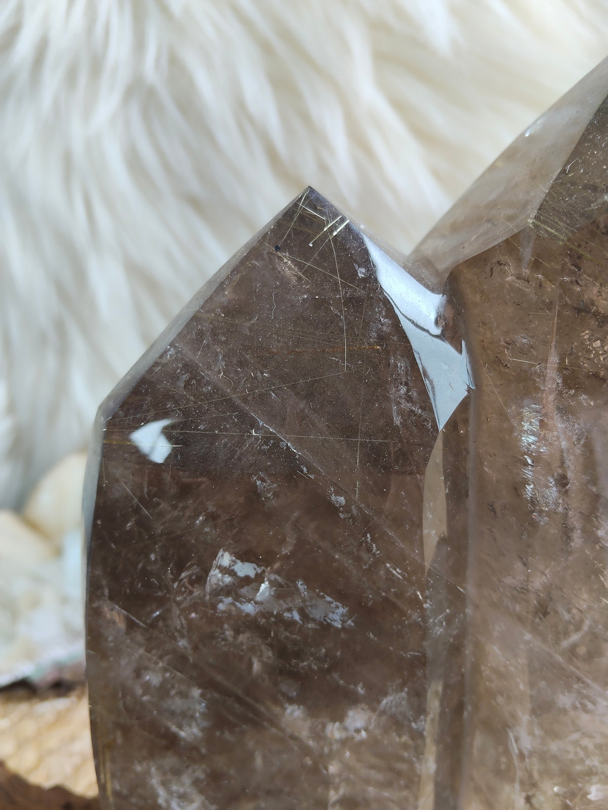 Large Rare Smokey Quartz with Golden Rutile Freeform