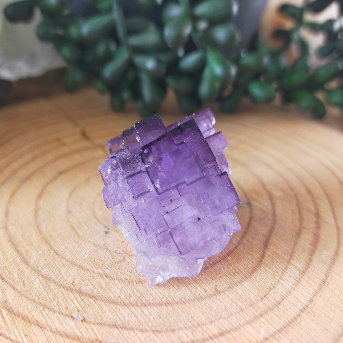 Fluorite Specimen