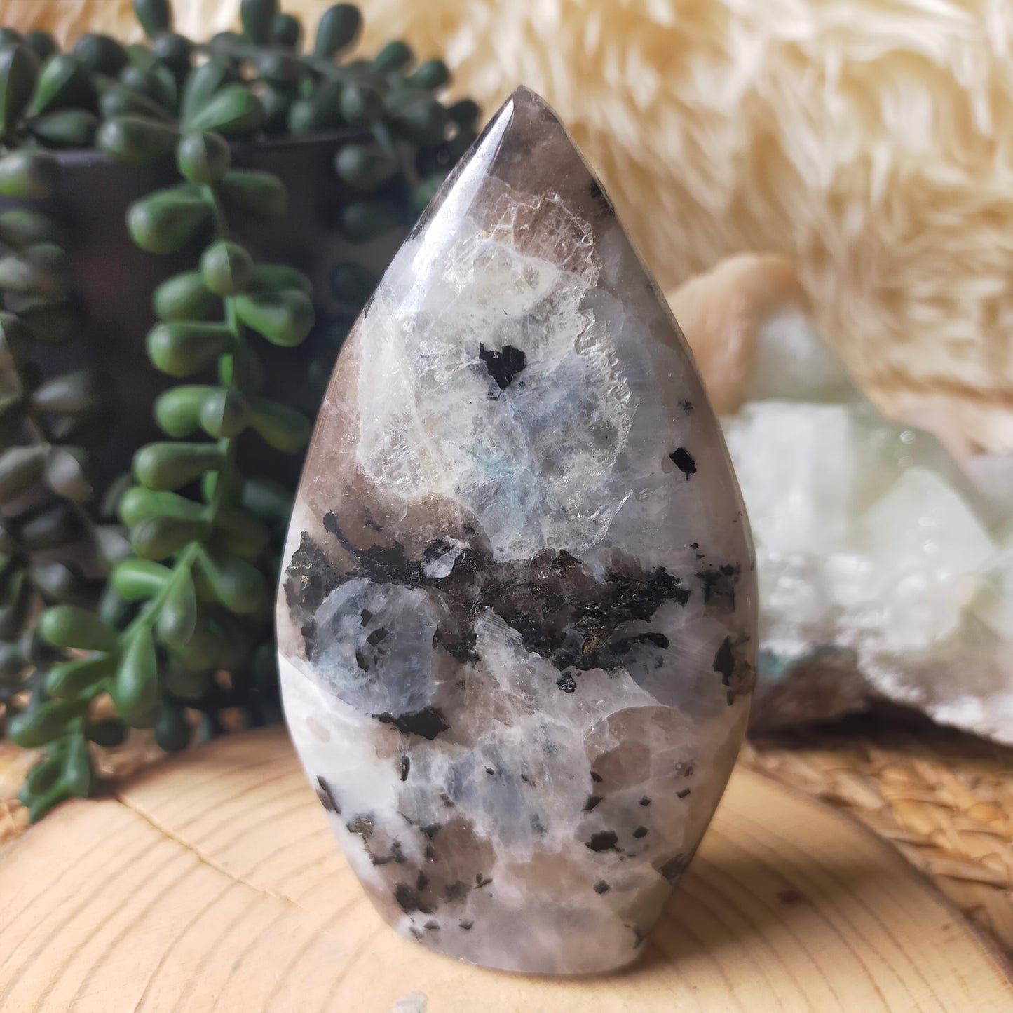 Rainbow Moonstone Teardrop