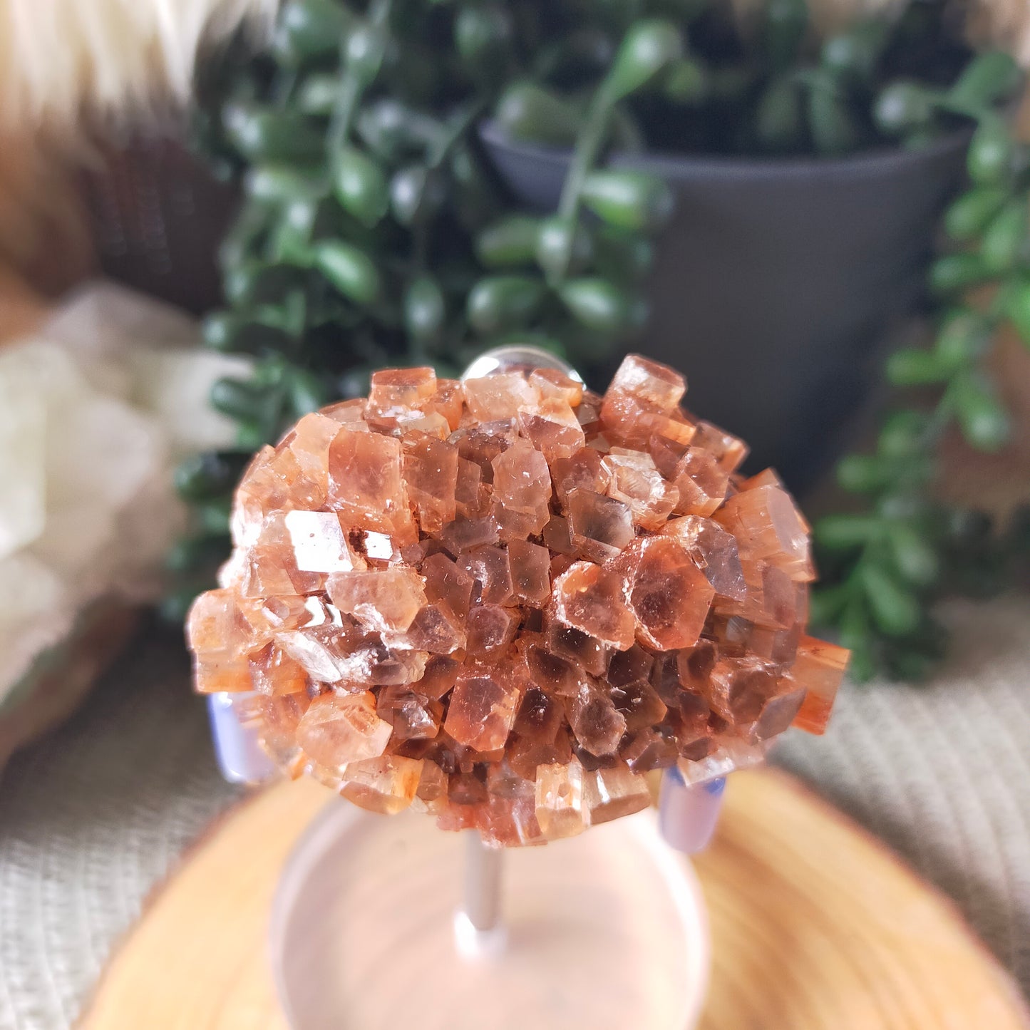 Sputnik Aragonite