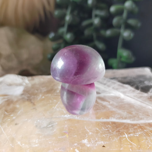 Fluorite Mushrooms
