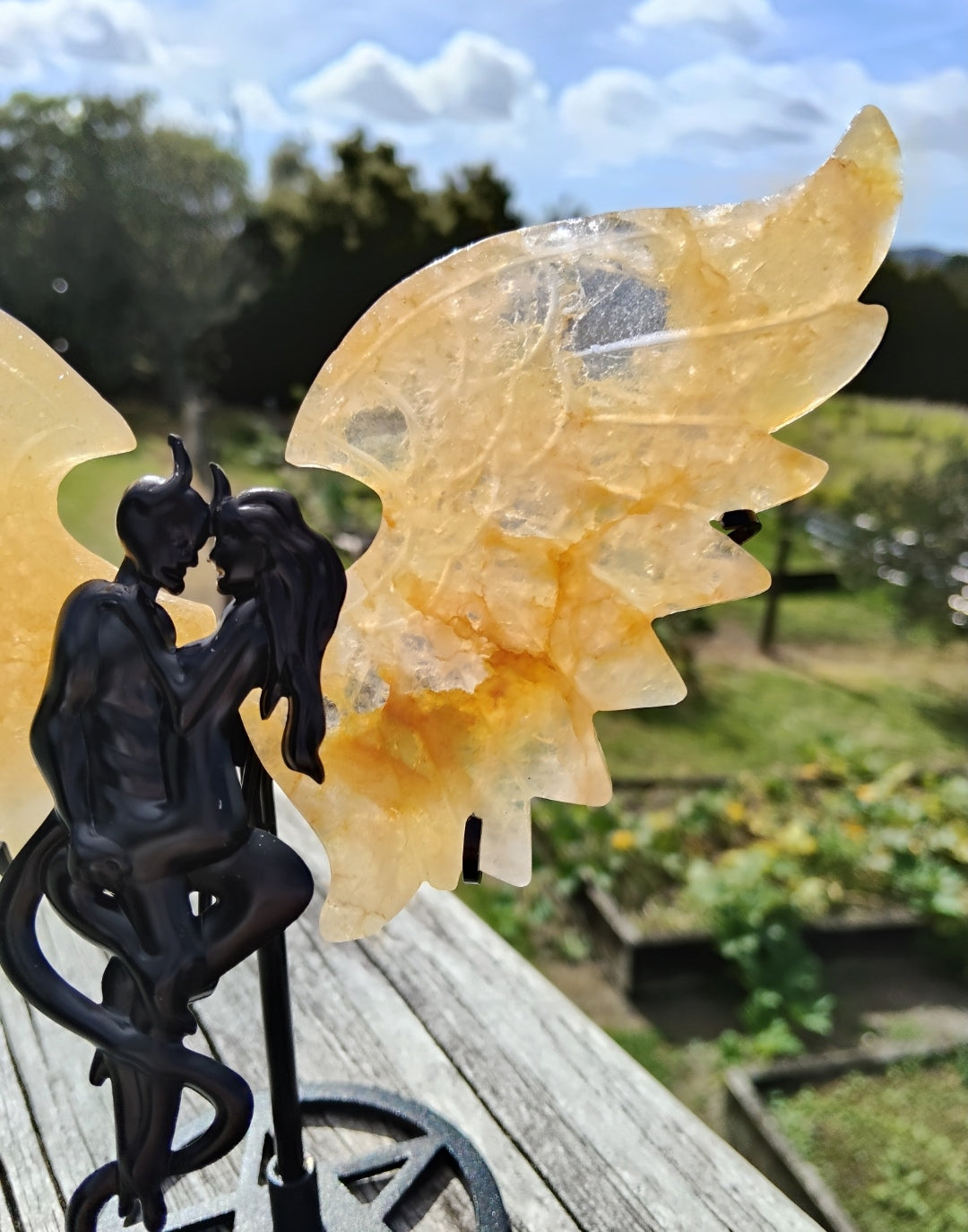 Golden Healer Devil/Angel Wings