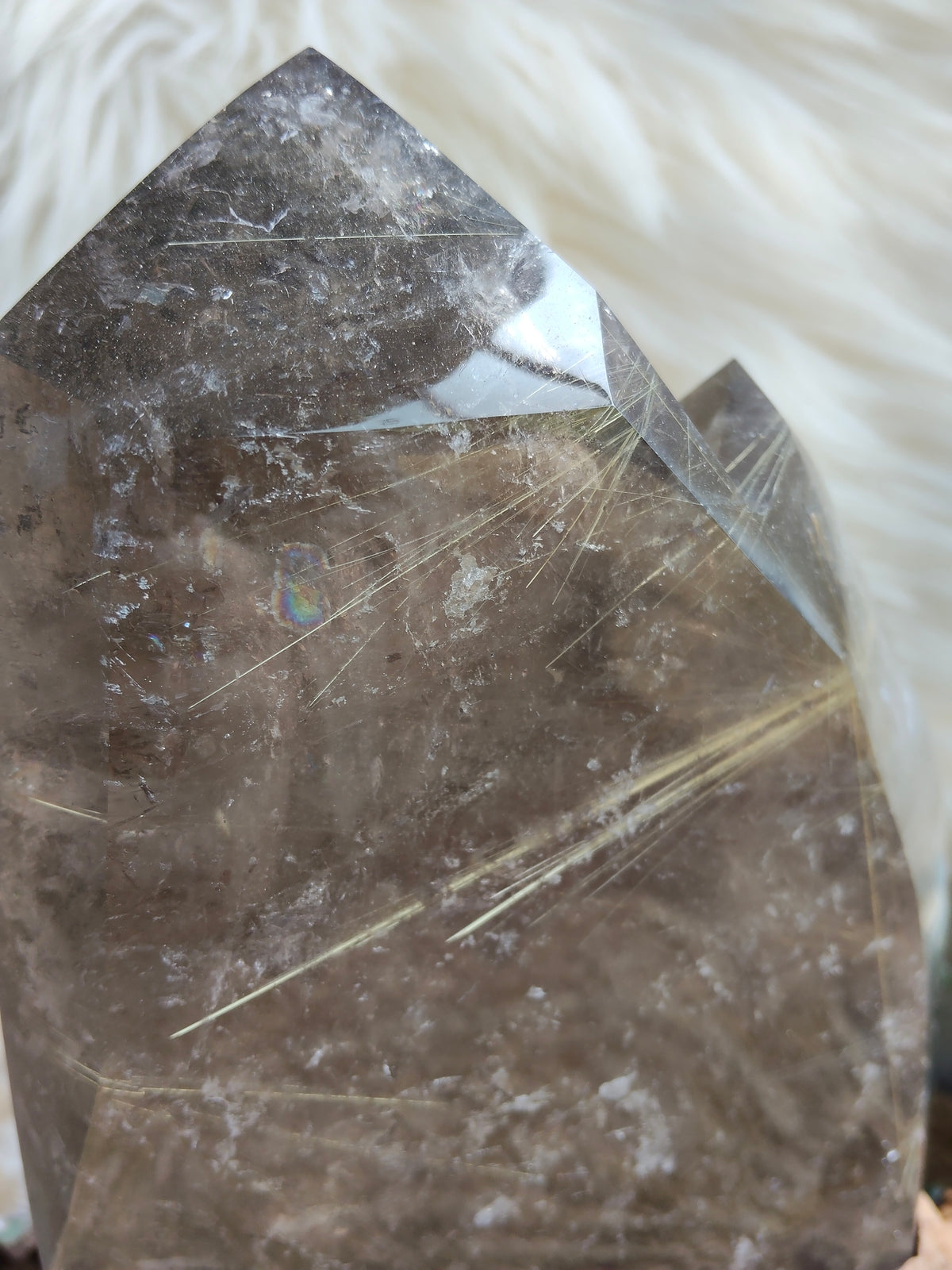 Large Rare Smokey Quartz with Golden Rutile Freeform