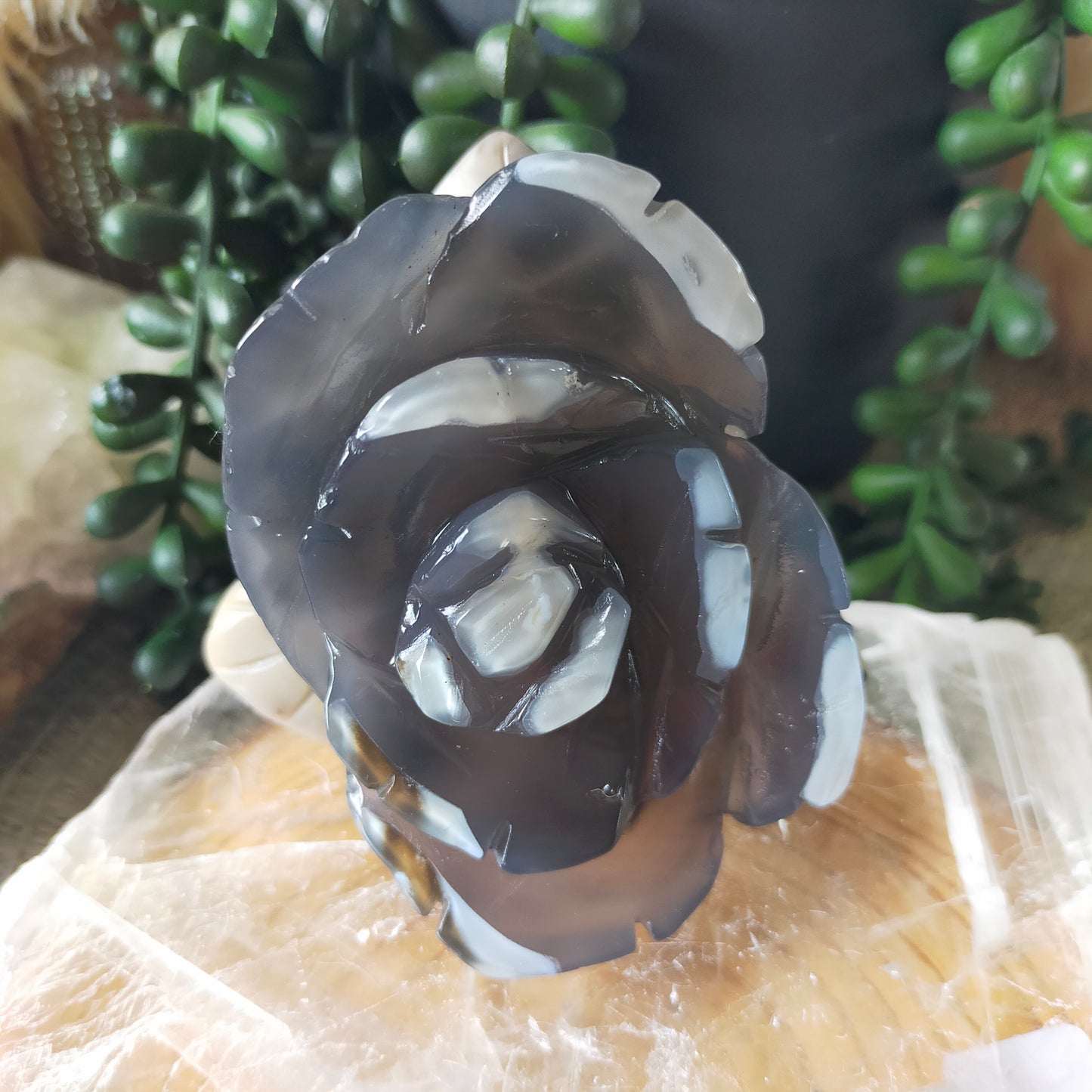 Volcano Agate Flowers