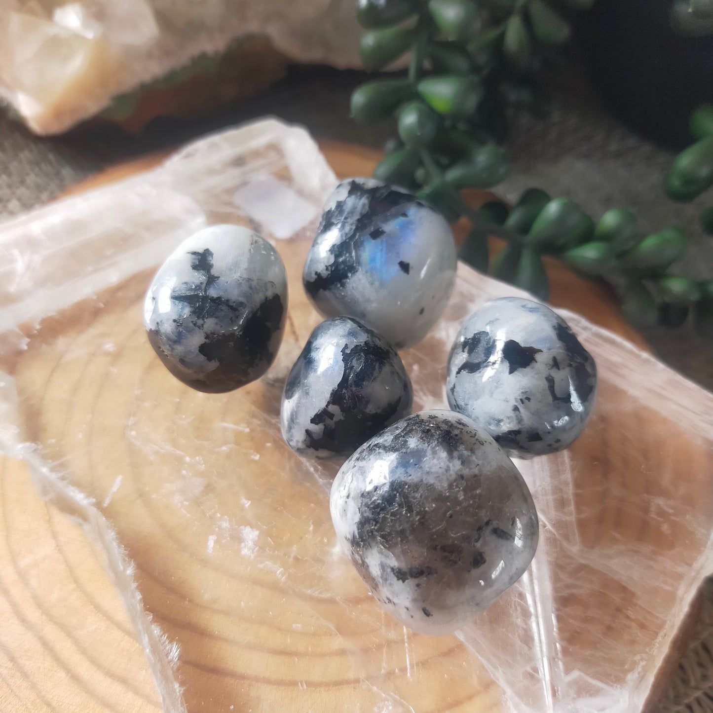 Rainbow Moonstone Tumbles