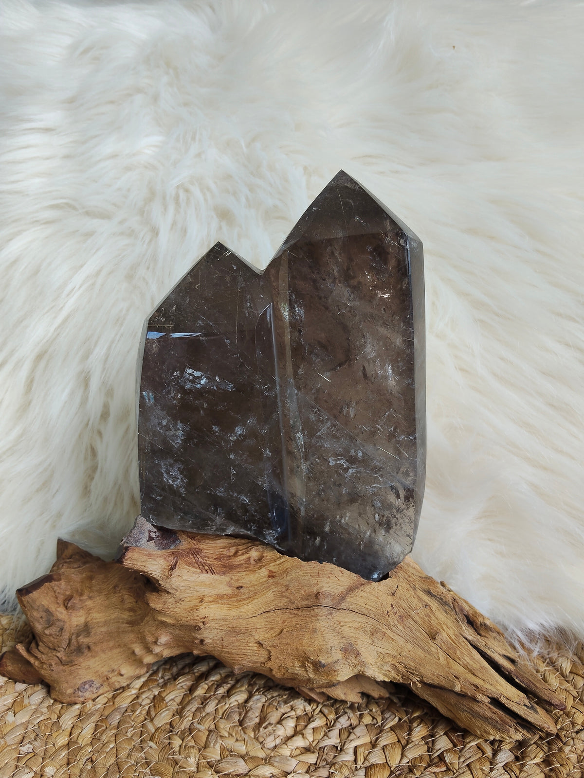Large Rare Smokey Quartz with Golden Rutile Freeform