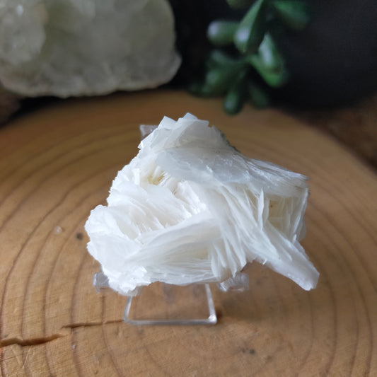 Angel Wing Calcite