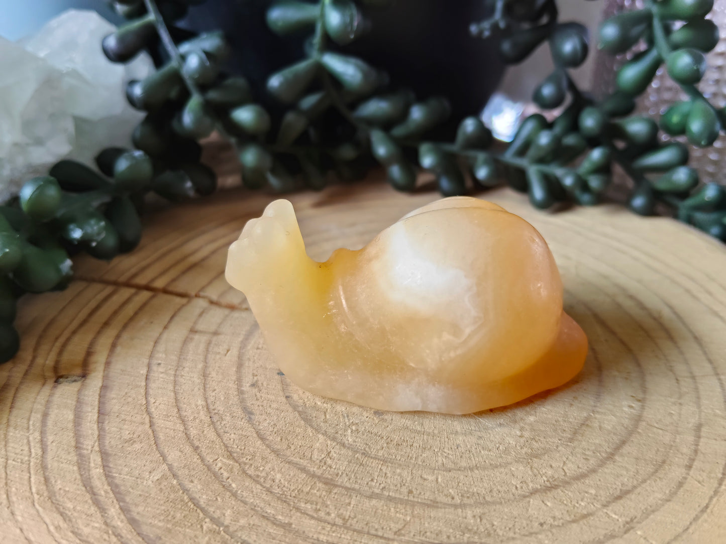 Crystal Snails