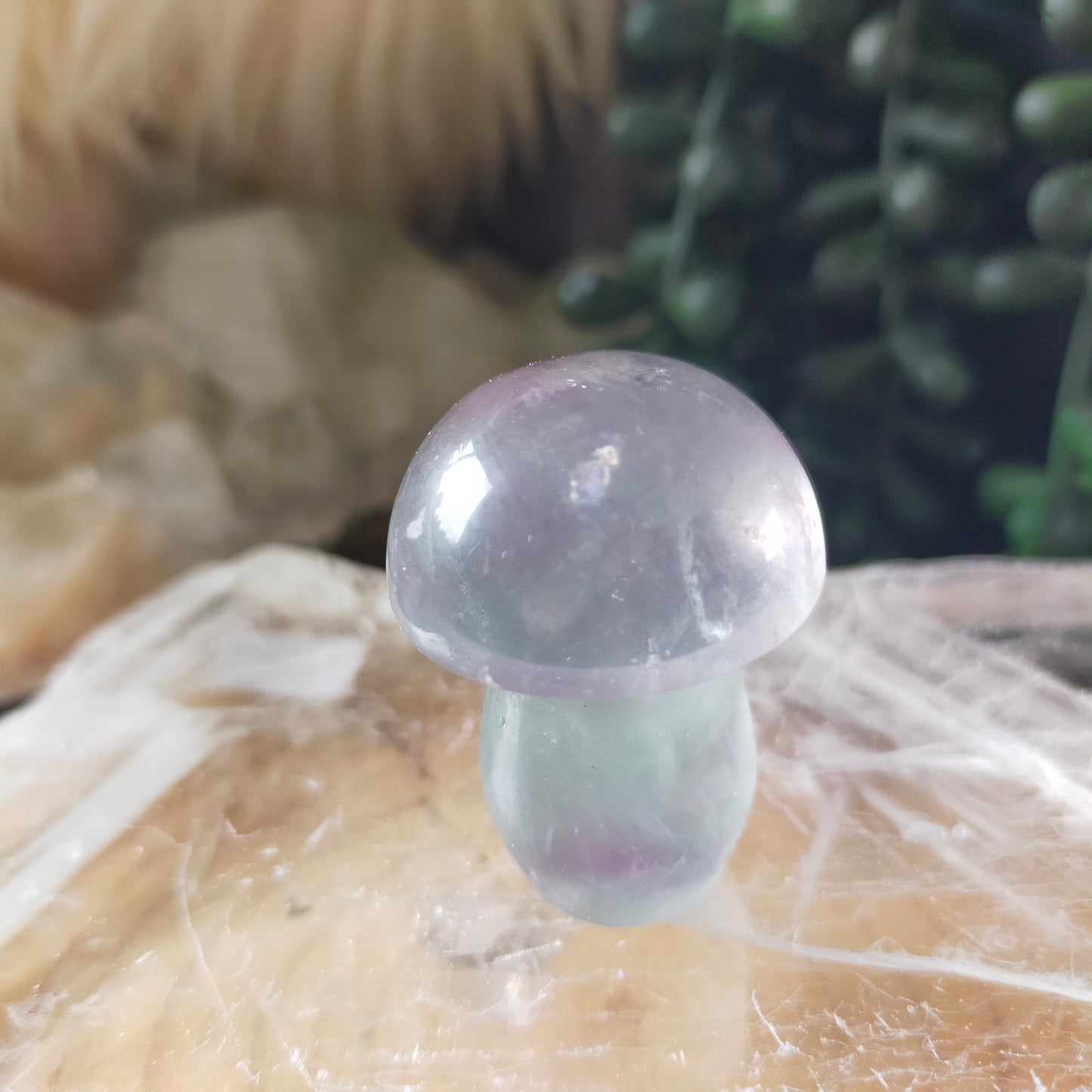 Fluorite Mushrooms