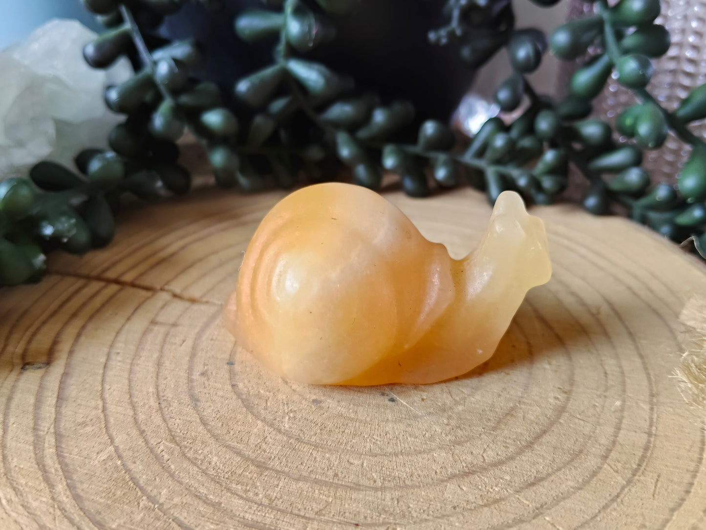 Crystal Snails