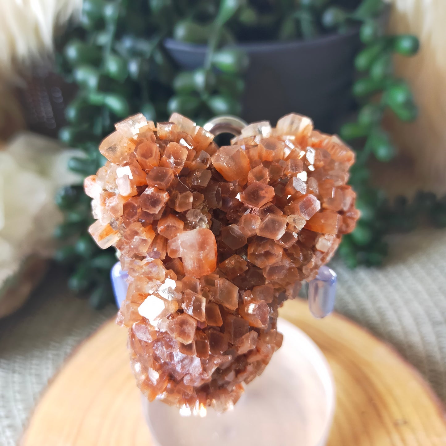 Sputnik Aragonite