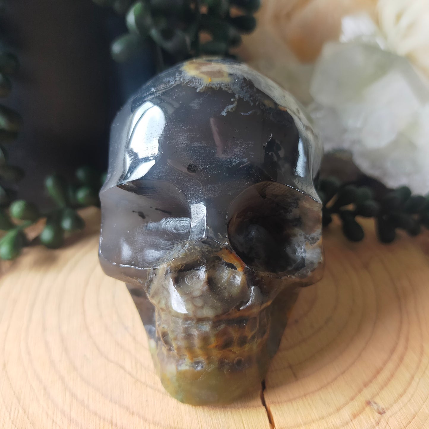 Volcano Agate Skull