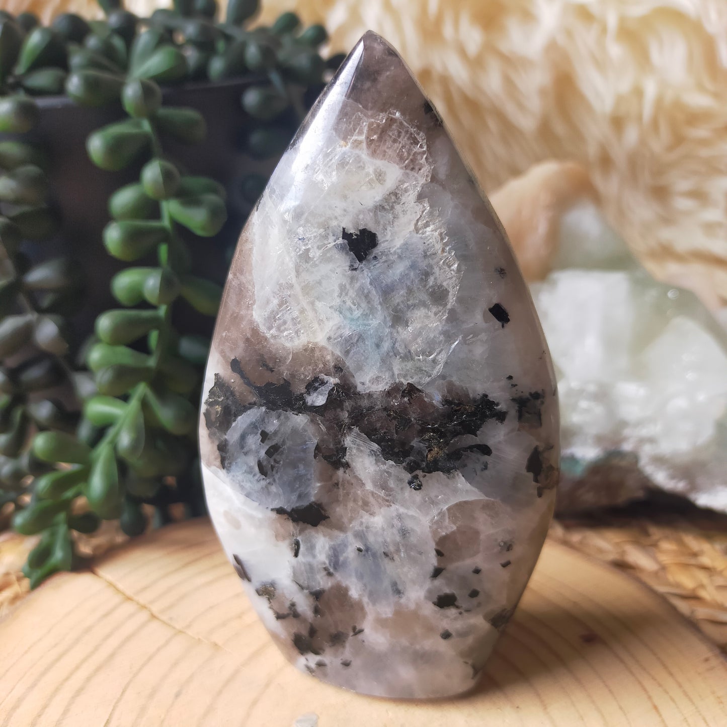 Rainbow Moonstone Teardrop