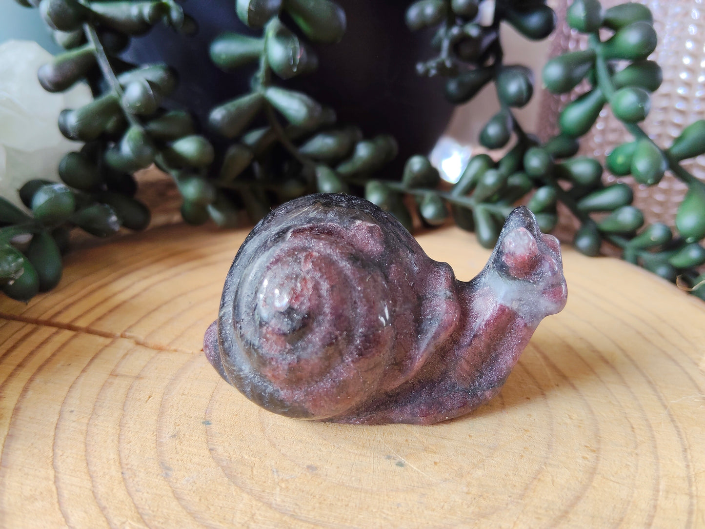 Crystal Snails