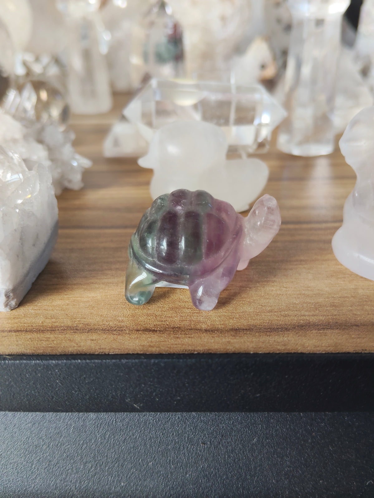 Fluorite Turtle