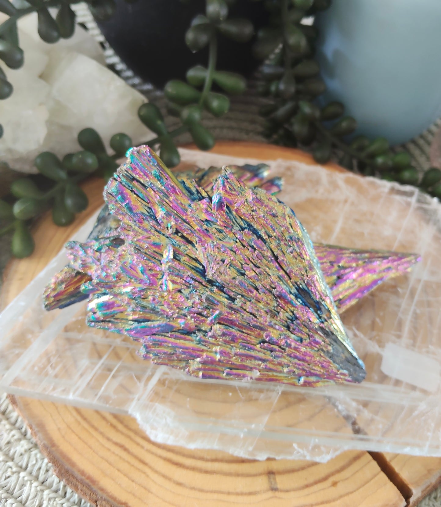 Large Aura Kyanite Pieces