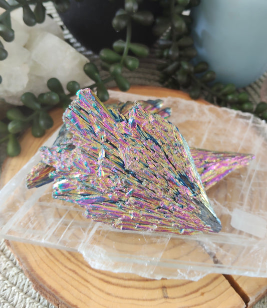 Large Aura Kyanite Pieces