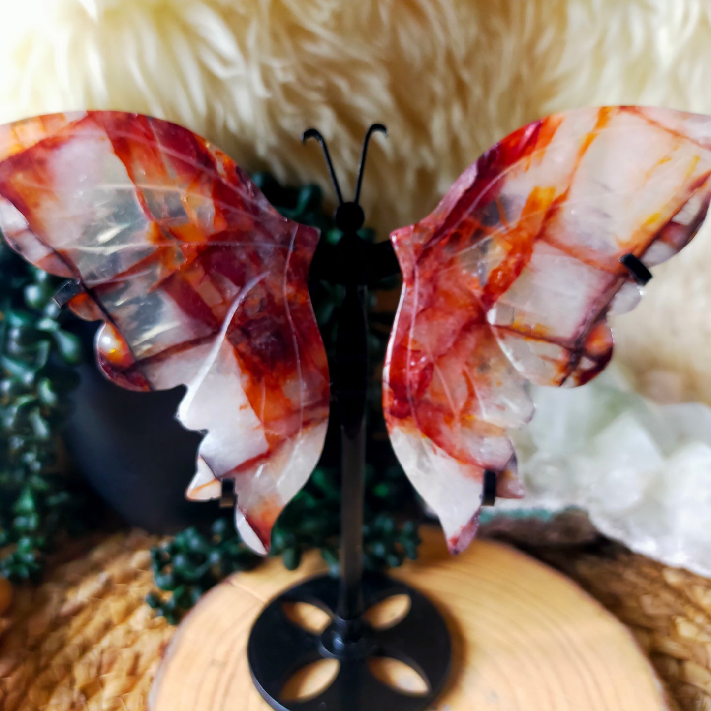 Fire Quartz Butterfly Wings