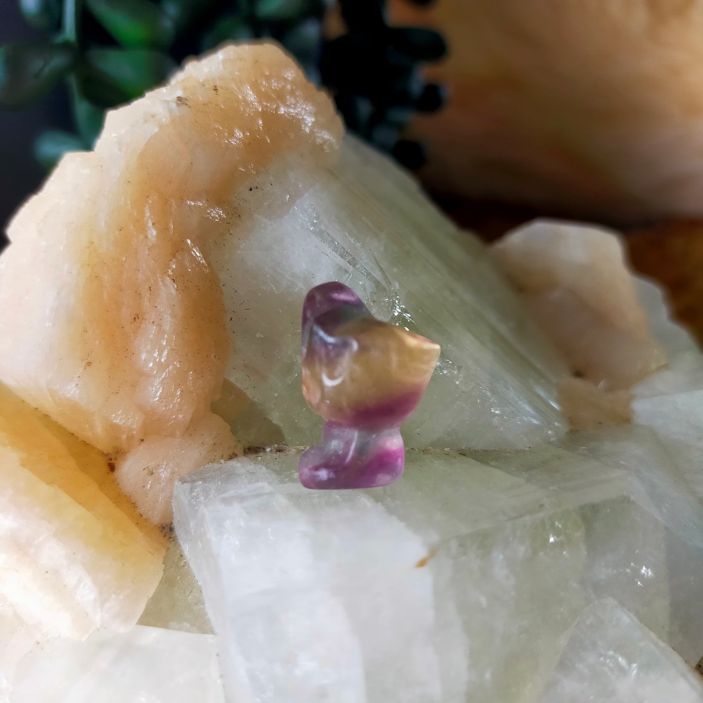 Mini Fluorite Carvings