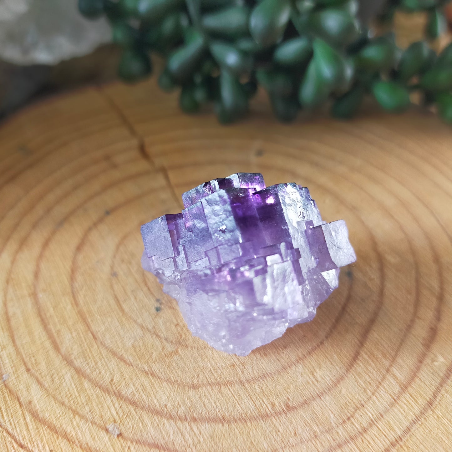 Fluorite Specimen
