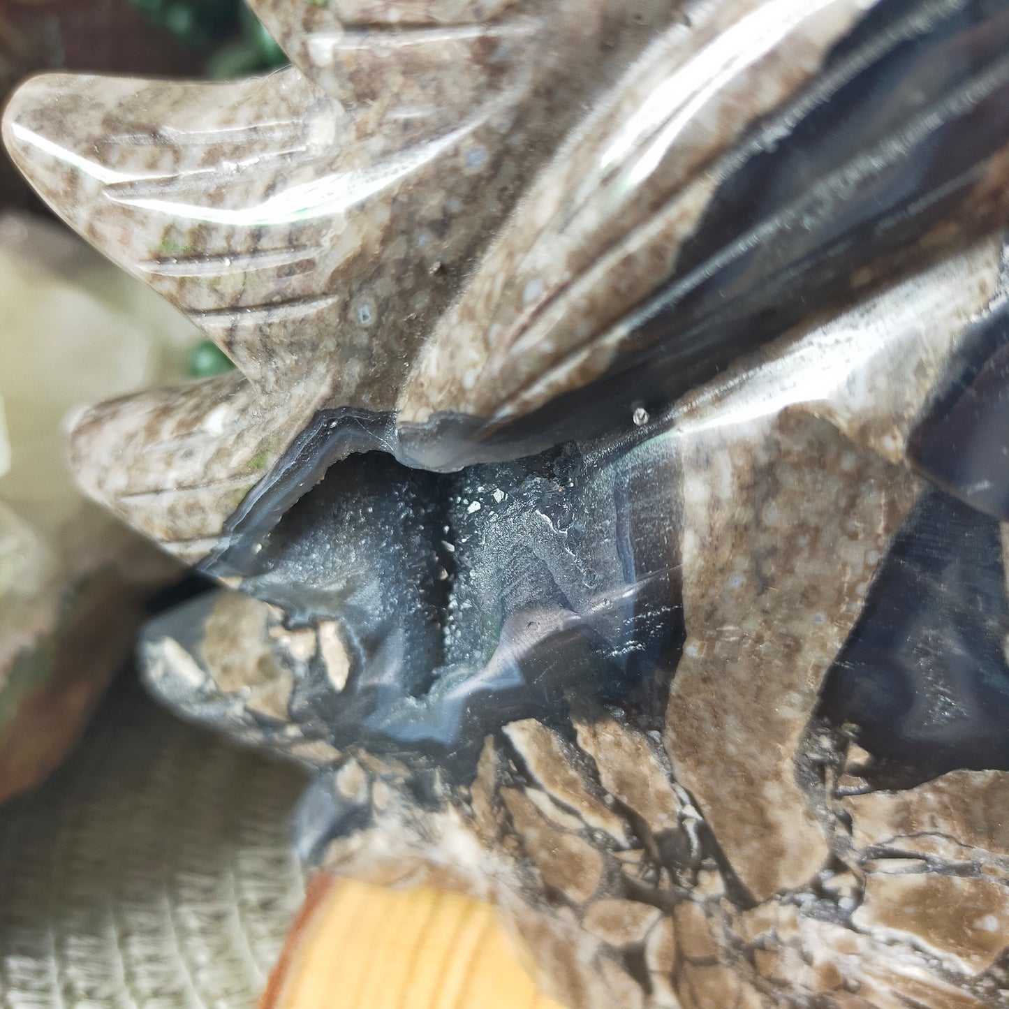 Volcano Agate Unicorn Head