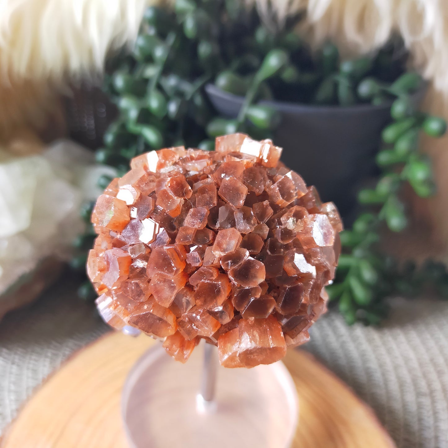 Sputnik Aragonite