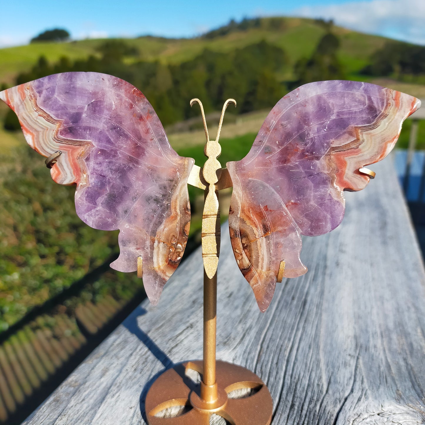 Amethyst Agate Butterfly Wings