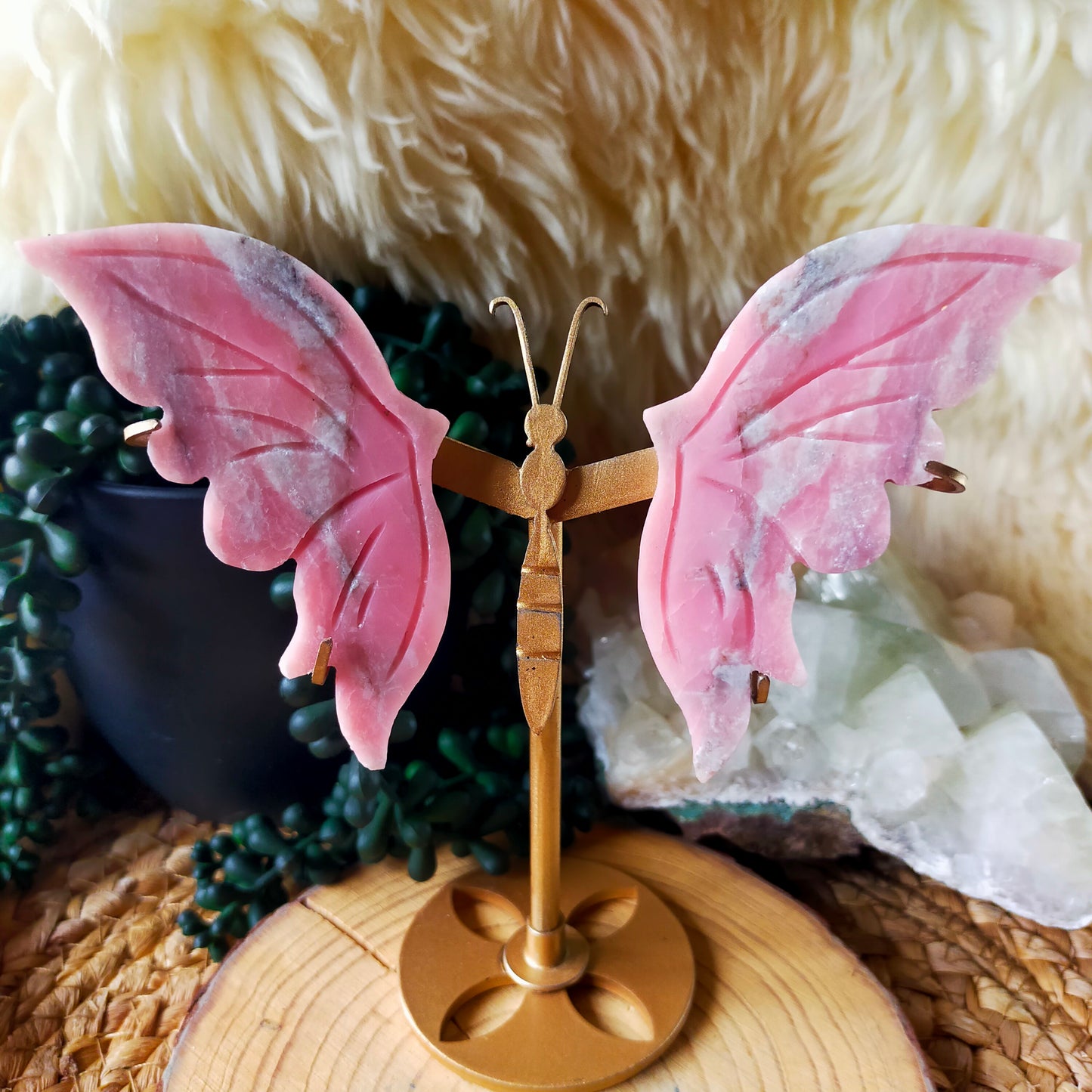 Pink Opal Butterfly Wings