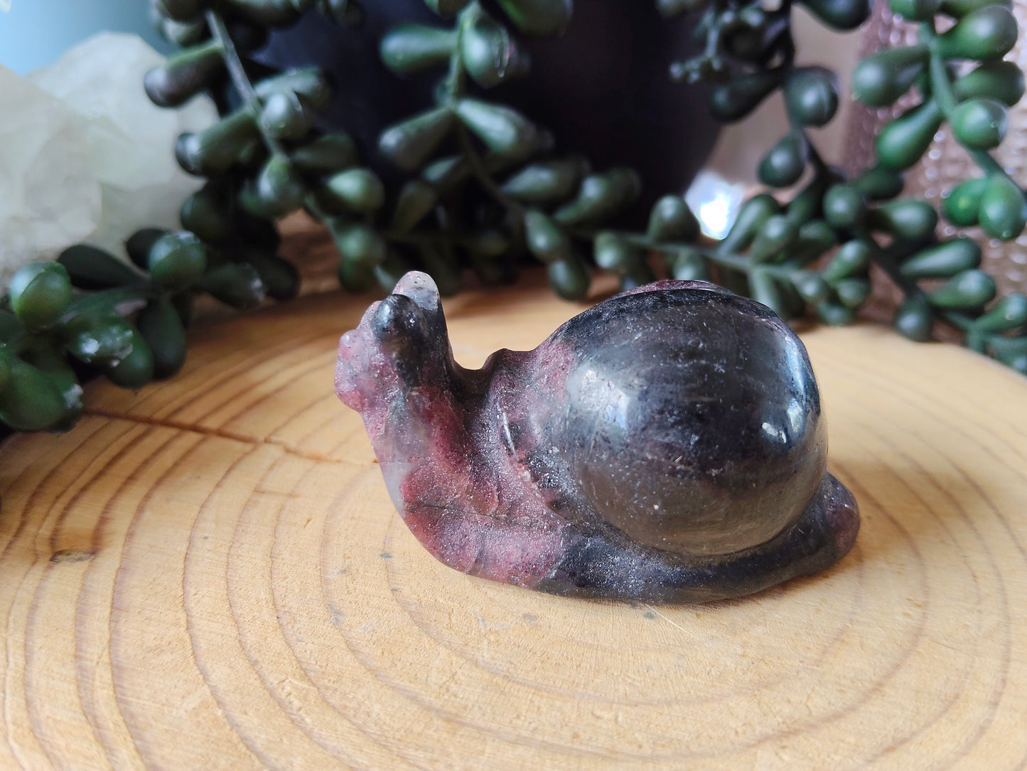 Crystal Snails