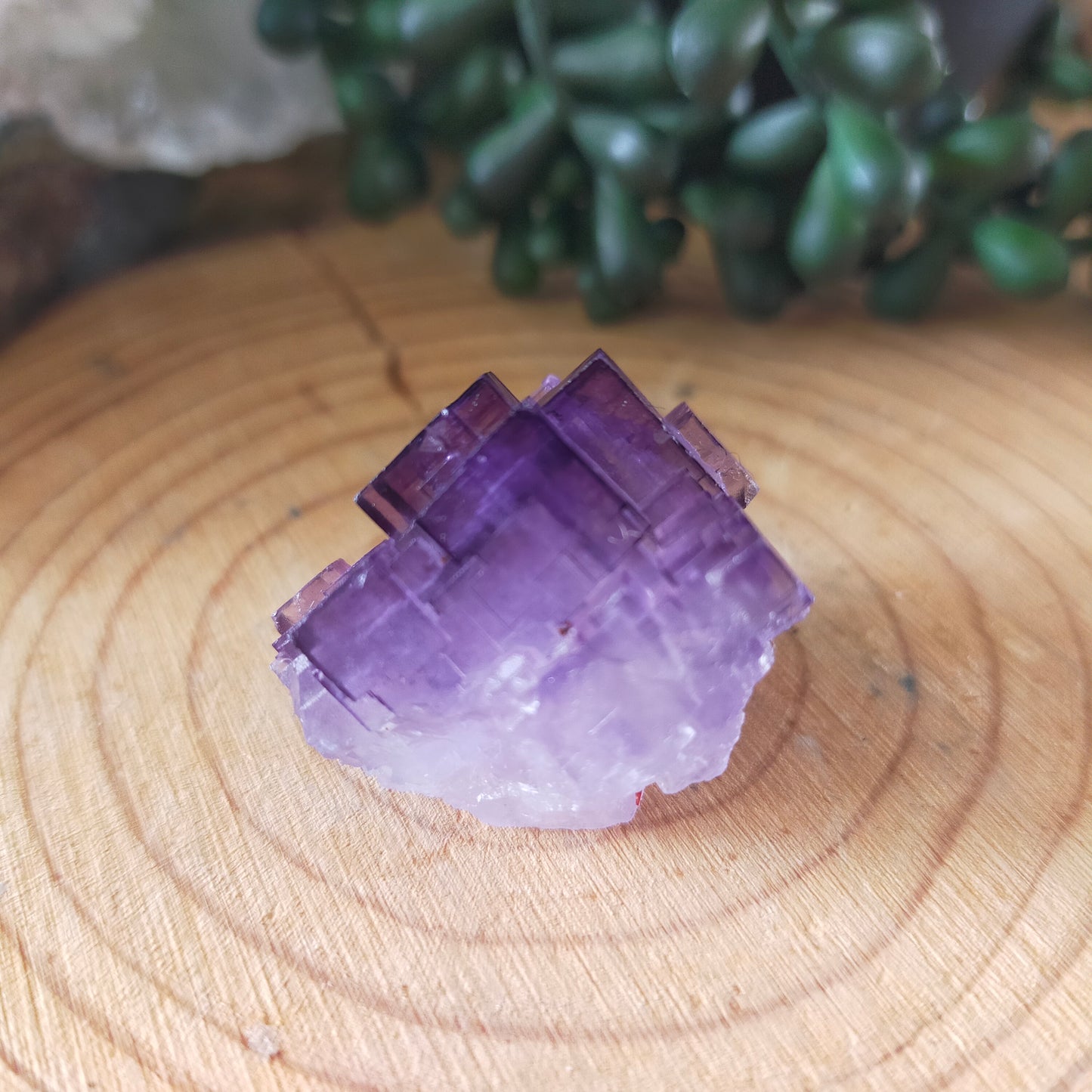 Fluorite Specimen