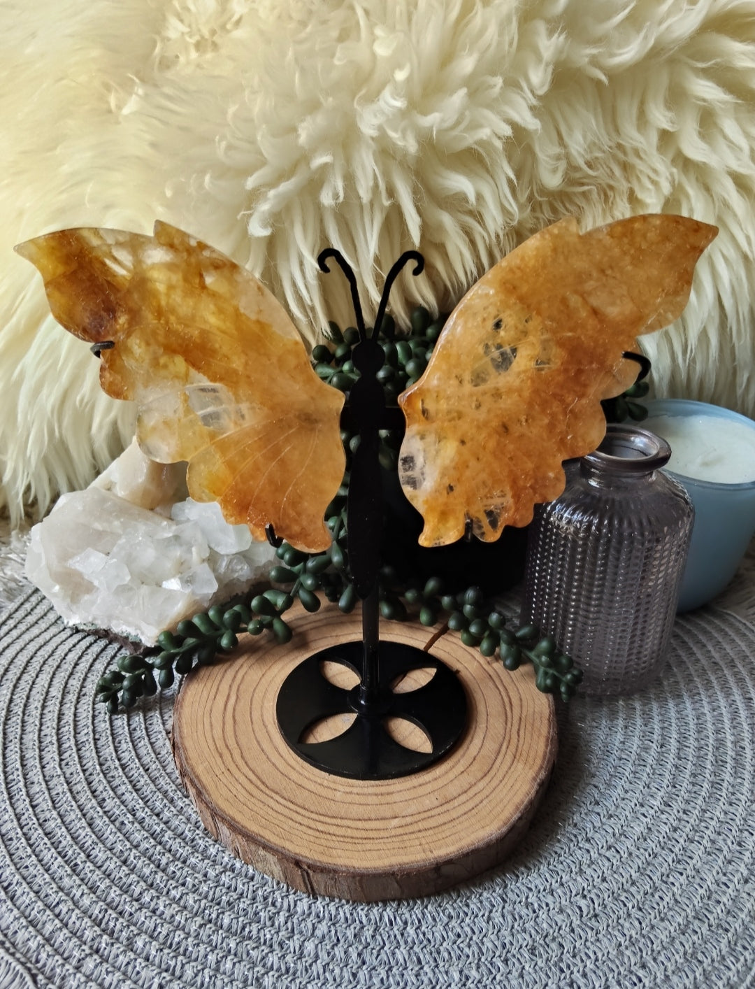 Golden Healer Butterfly