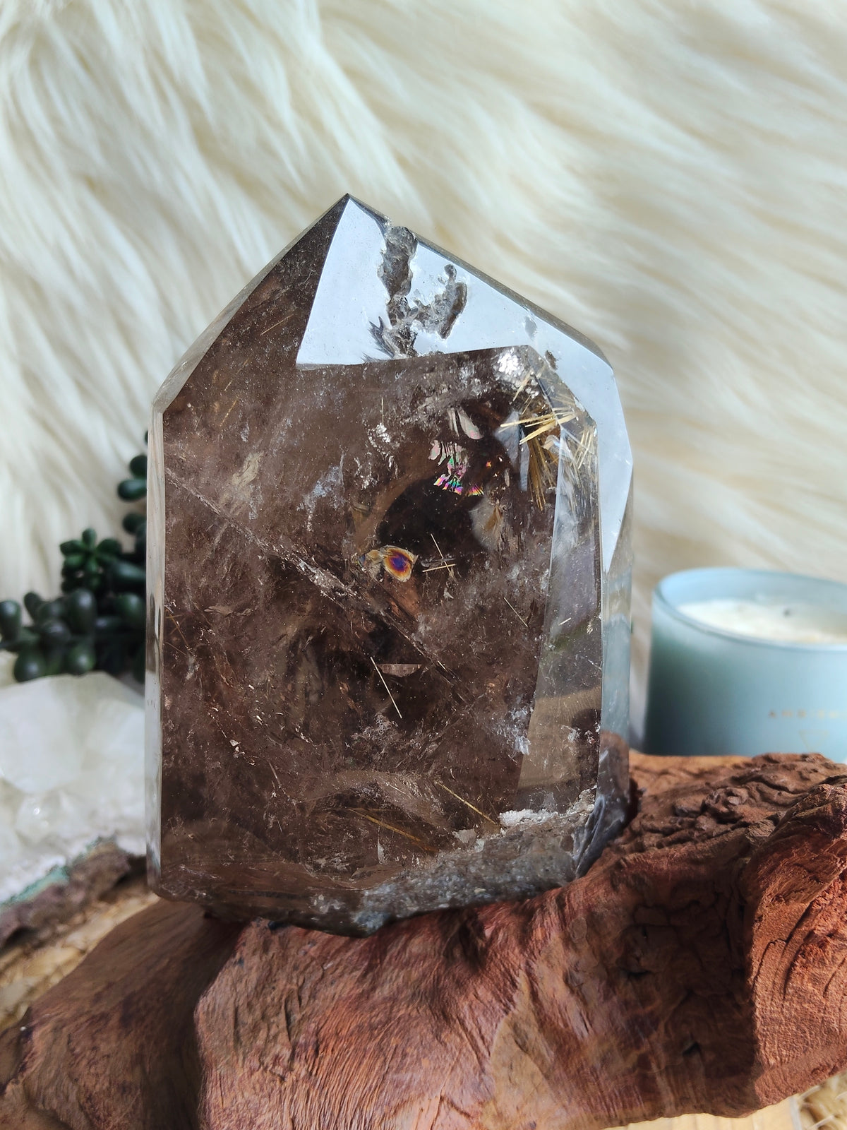 Large Rare Smokey Quartz with Golden Rutile