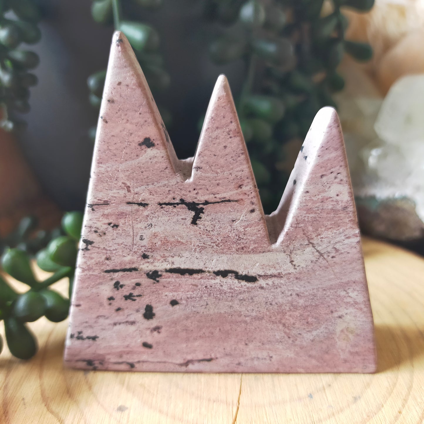 Pink Picture Jasper Mountains