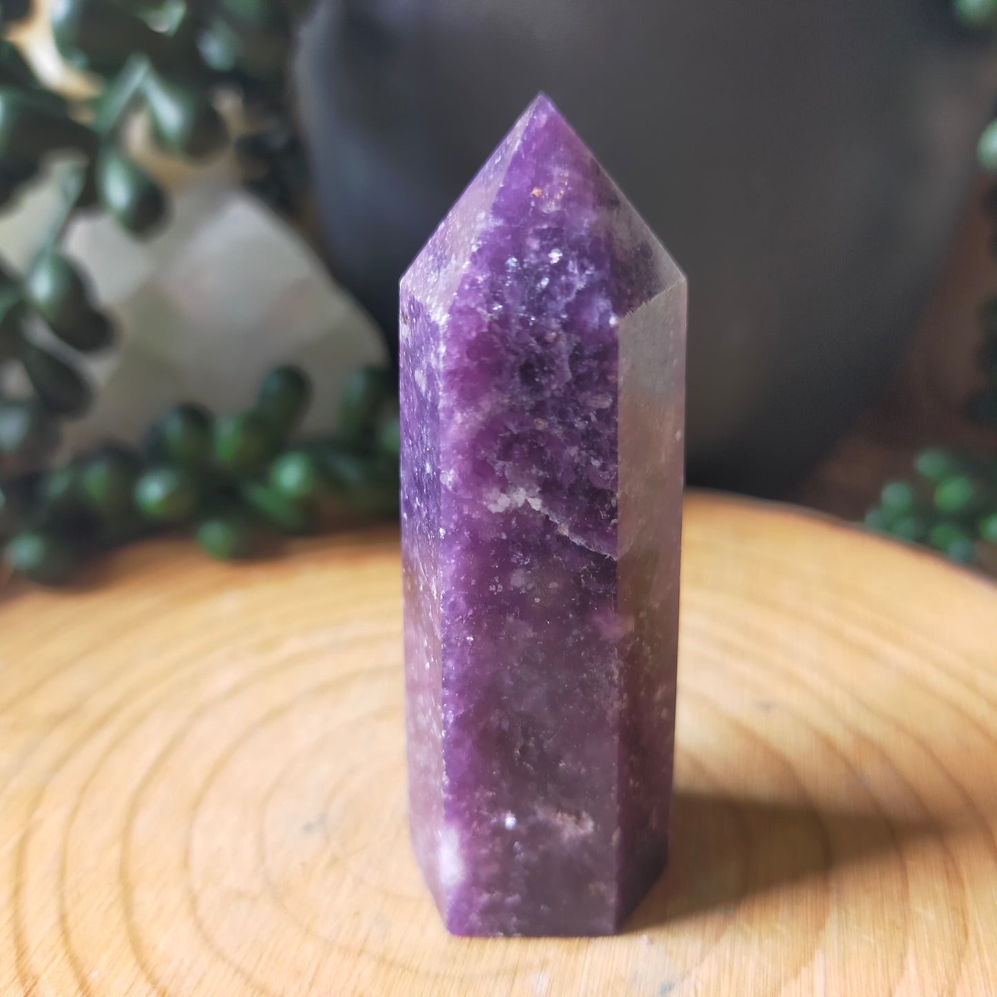 Small Lepidolite Points