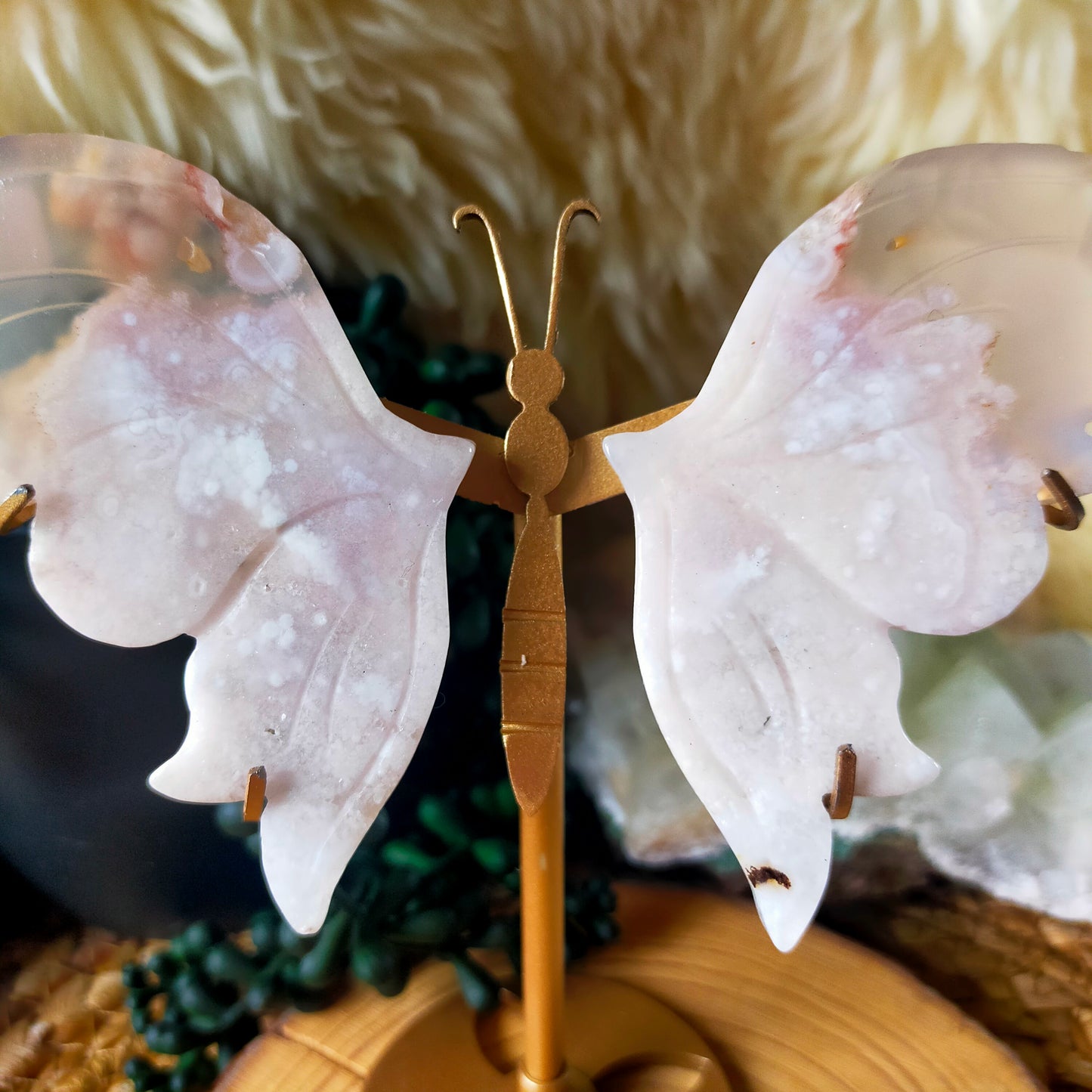 Flower Agate Butterfly Wings