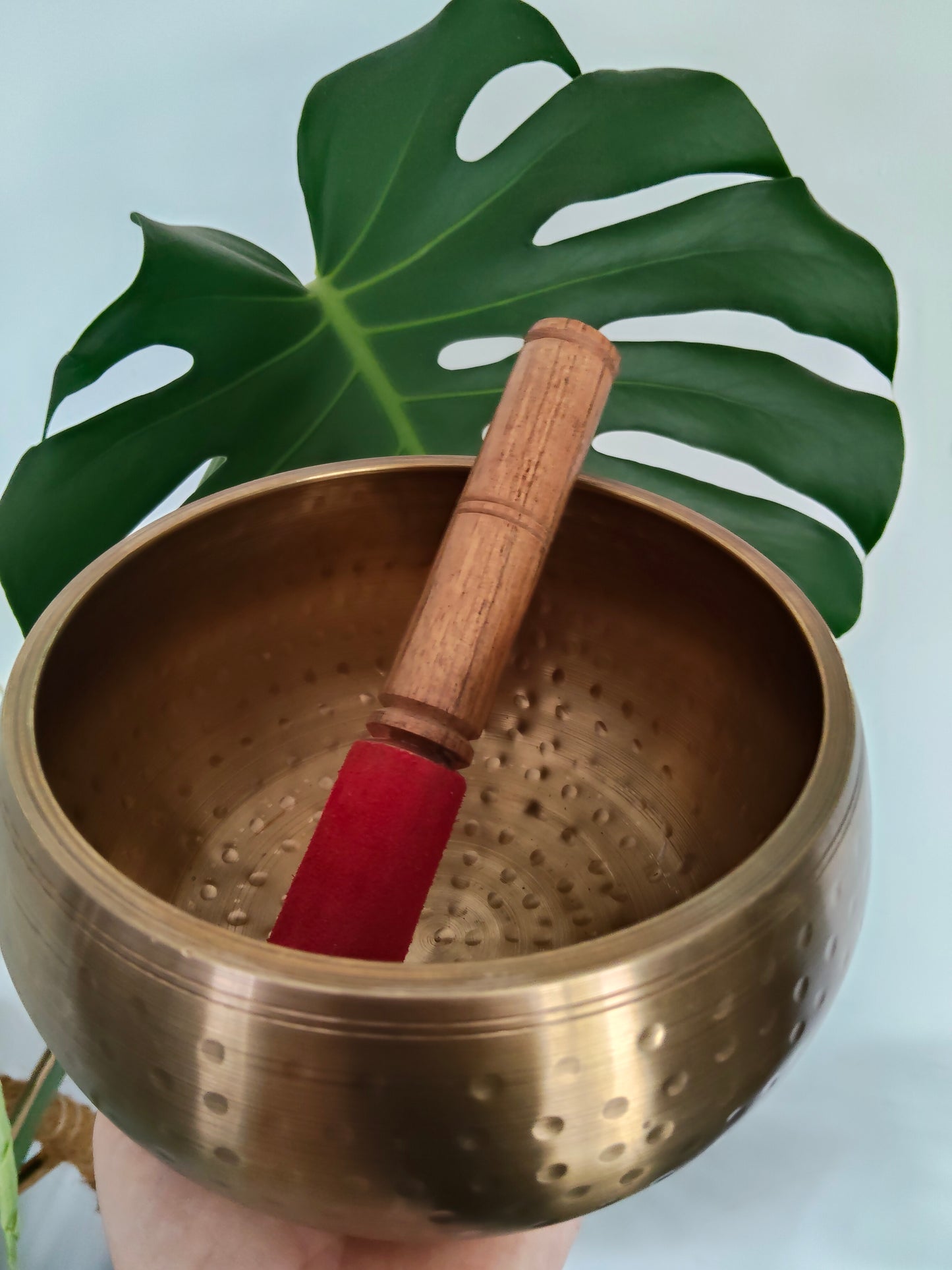 Hand Hammered Brass Singing Bowl Large