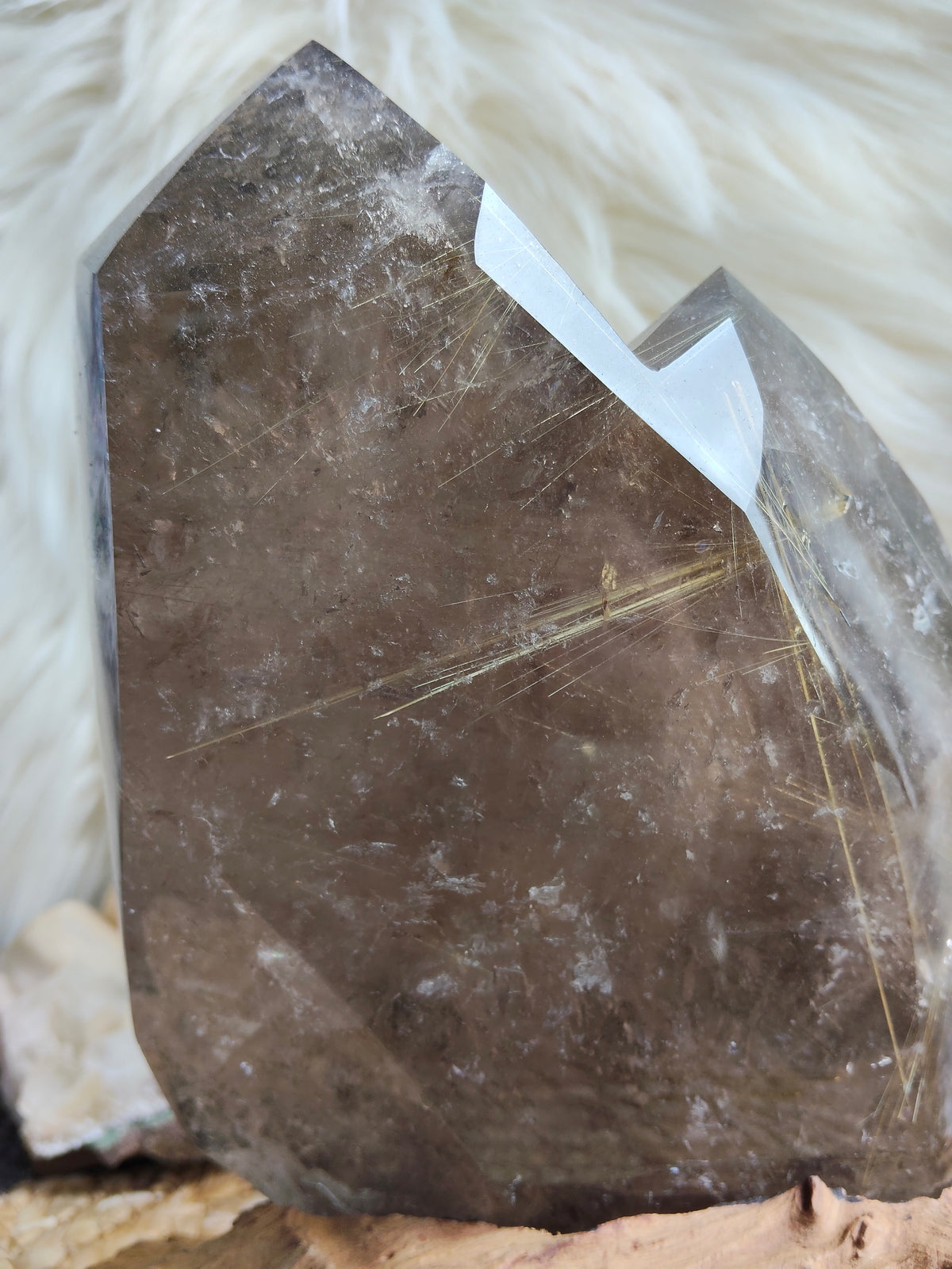 Large Rare Smokey Quartz with Golden Rutile Freeform
