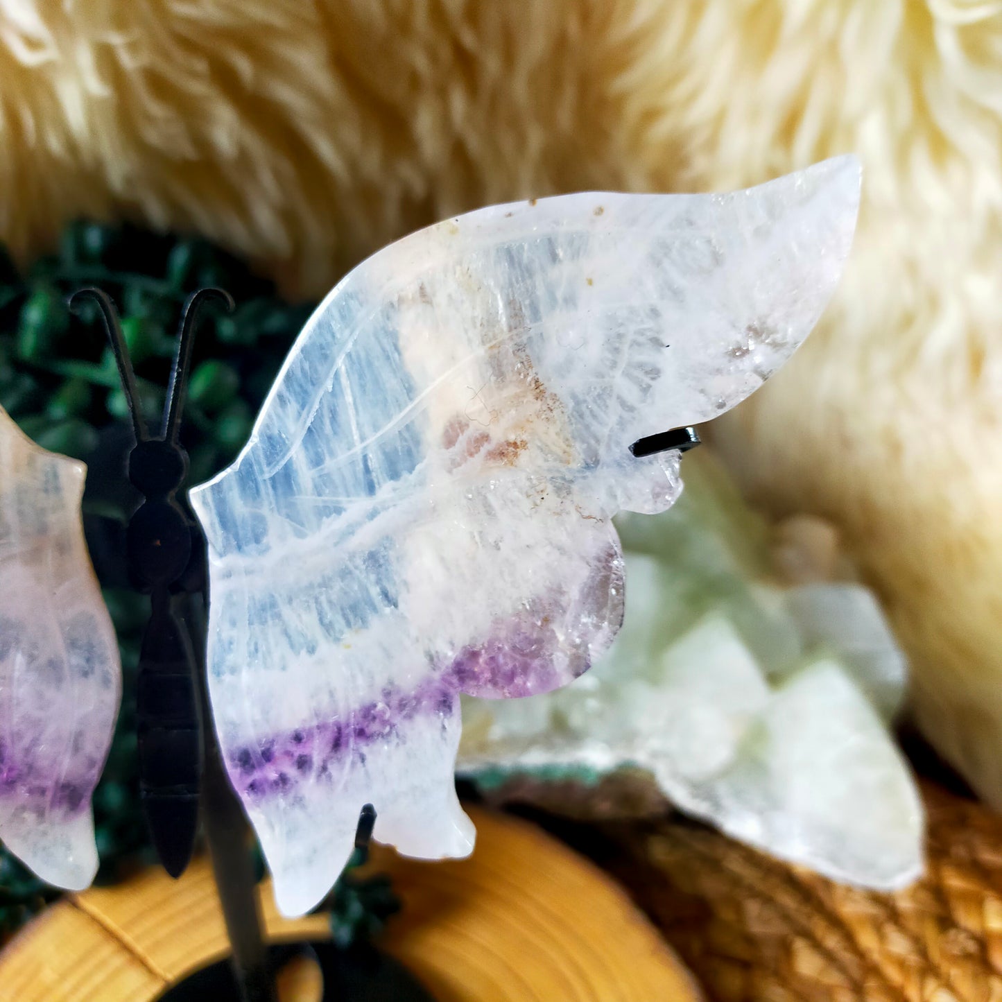 Quartz/Amethyst Butterfly Wings
