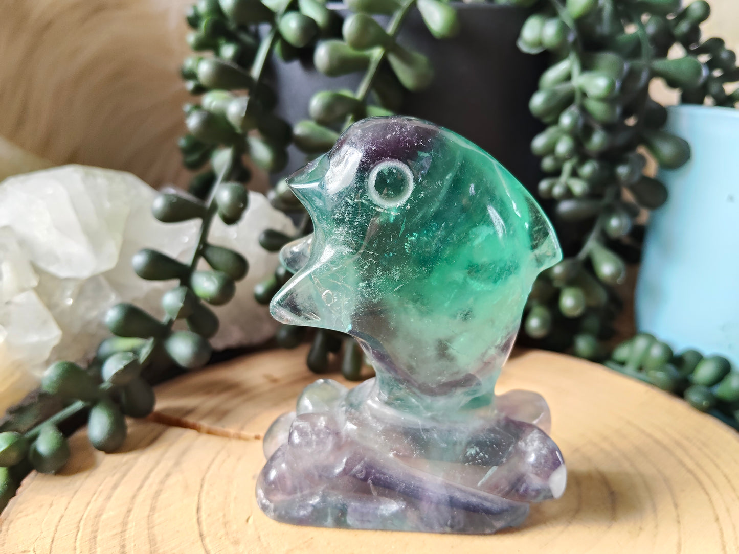 Fluorite Dolphin