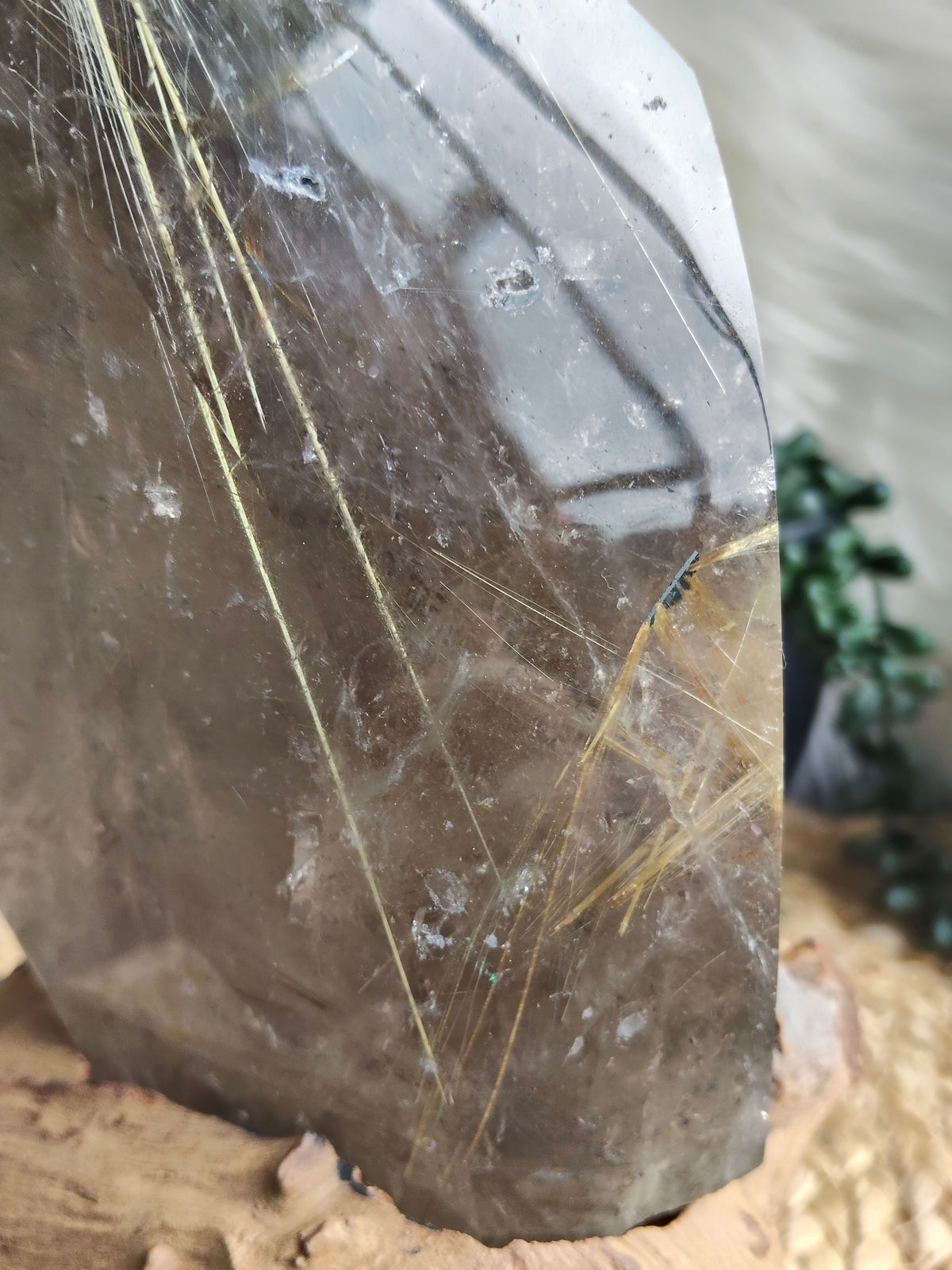Large Rare Smokey Quartz with Golden Rutile Freeform